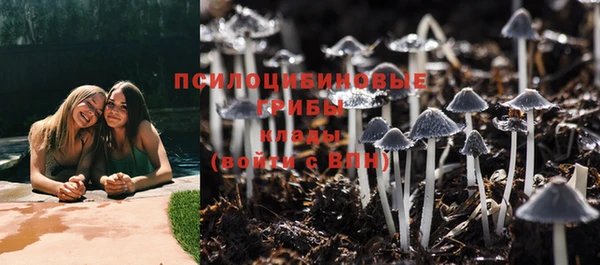 гидра Корсаков