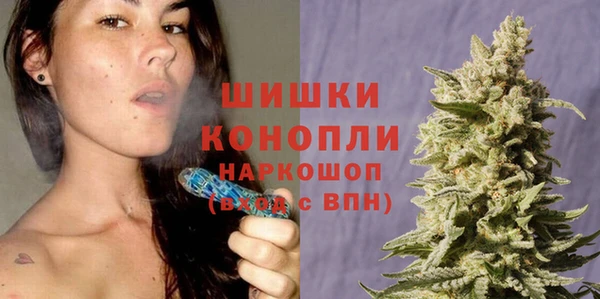 спайс Михайлов