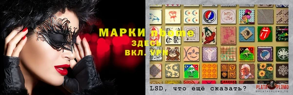 крисы Красноперекопск