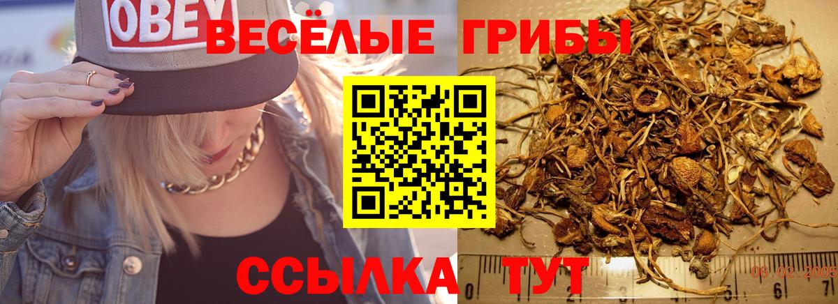 Галлюциногенные грибы ЛСД  Вход с VPN  Усинск 