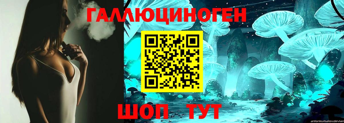 Галлюциногенные грибы Psilocybine cubensis  Усинск 